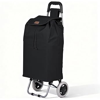 Carro de Compra Plegable 2 Ruedas Grandes | Carrito de la Compra Ligero con Bolsa Impermeable y Desmontable | Carga hasta 25kg | Capacidad 35 litros | Multiusos Estructura de Acero Robusta